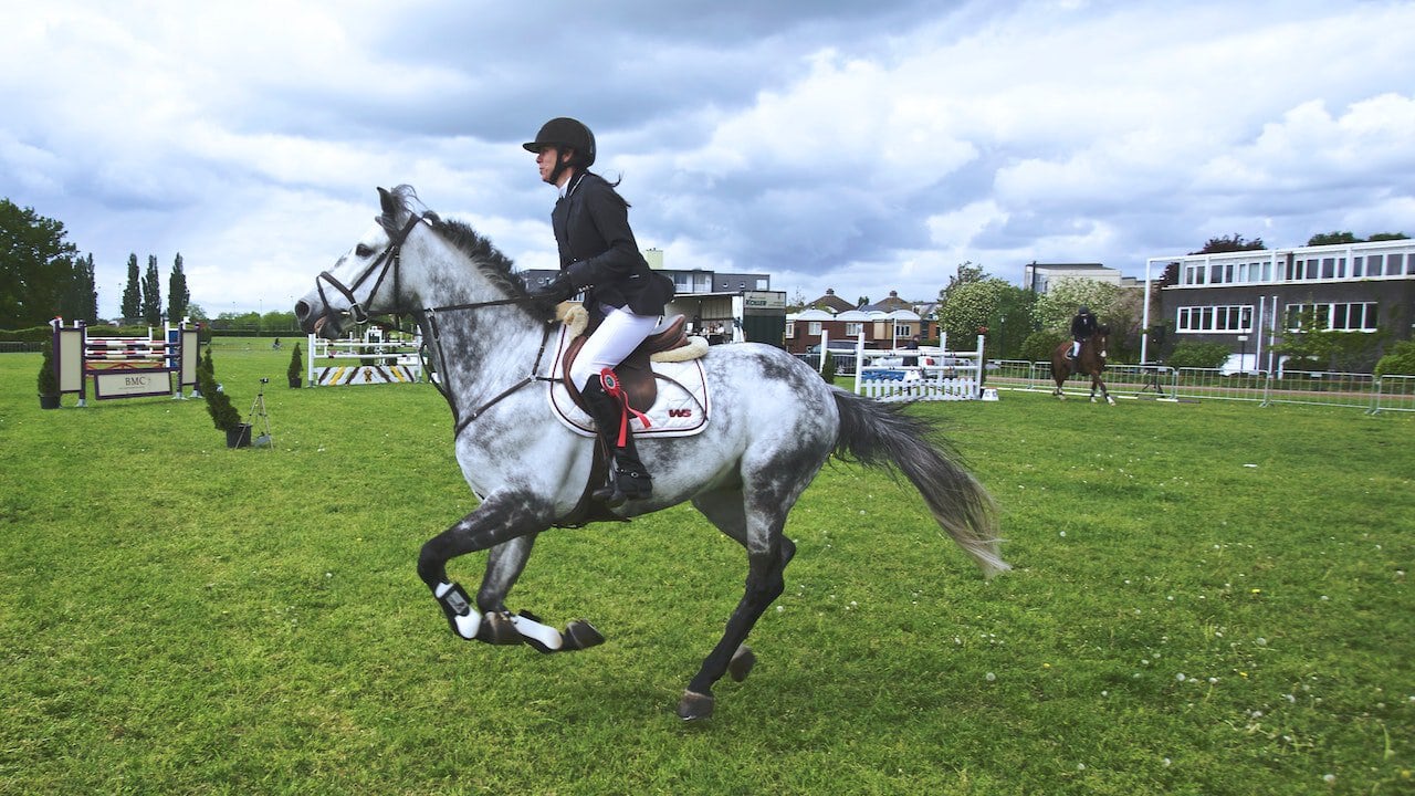 Suplementy dla koni – Klucz do zdrowia i pełnej wydajności