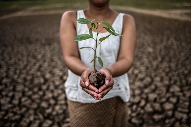 Jak Sadzenie Drzew Wspiera Bioróżnorodność i Walczy ze Zmianami Klimatycznymi